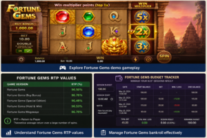 Understand Fortune Gems RTP values